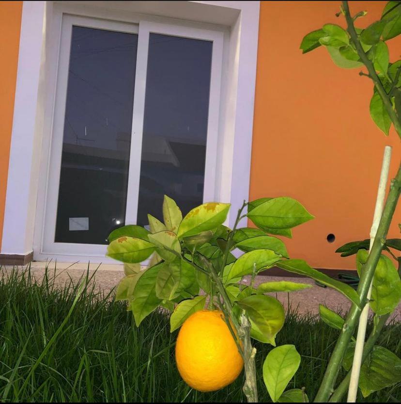 Orange Guest House 사그레스 외부 사진