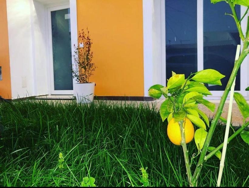 Orange Guest House 사그레스 외부 사진